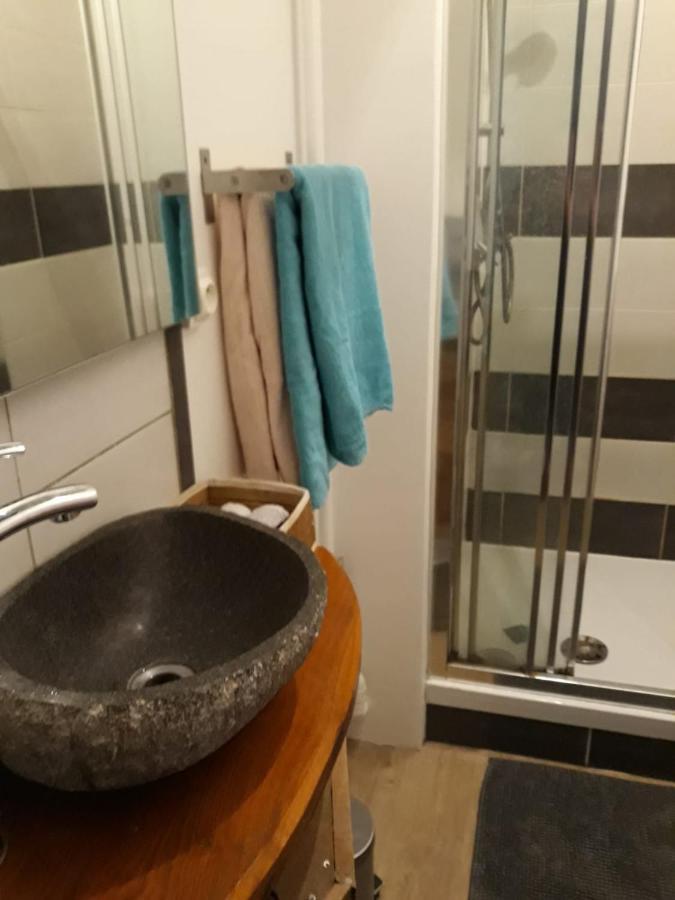 Le Langevin - Appartement Troyes Centre Extérieur photo